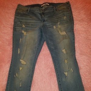 S & P Flare/boot Destructed Stretch Jeans 25 plus